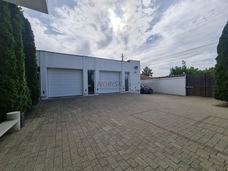Tartasesti, Mogosoaia, vila exclusivista